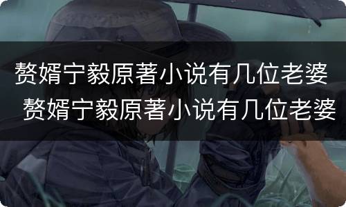 赘婿宁毅原著小说有几位老婆 赘婿宁毅原著小说有几位老婆和孩子