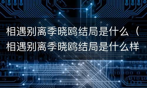 相遇别离季晓鸥结局是什么（相遇别离季晓鸥结局是什么样的）