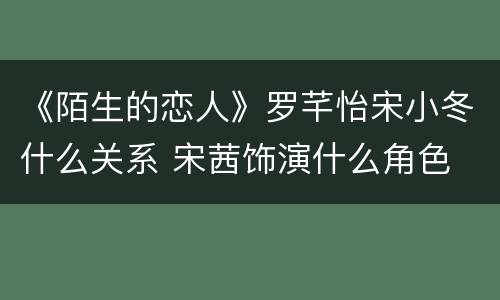 《陌生的恋人》罗芊怡宋小冬什么关系 宋茜饰演什么角色
