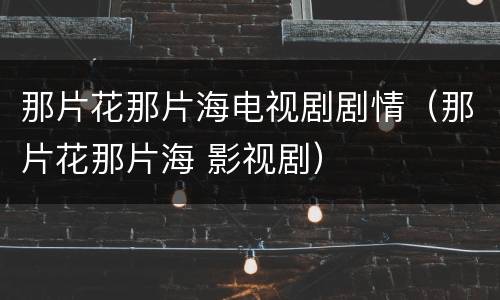 那片花那片海电视剧剧情（那片花那片海 影视剧）