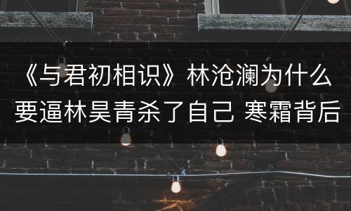 《与君初相识》林沧澜为什么要逼林昊青杀了自己 寒霜背后的真相解析