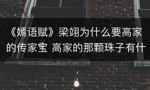《嫣语赋》梁翊为什么要高家的传家宝 高家的那颗珠子有什么用