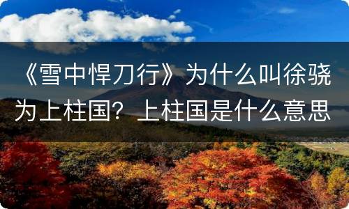 《雪中悍刀行》为什么叫徐骁为上柱国？上柱国是什么意思？