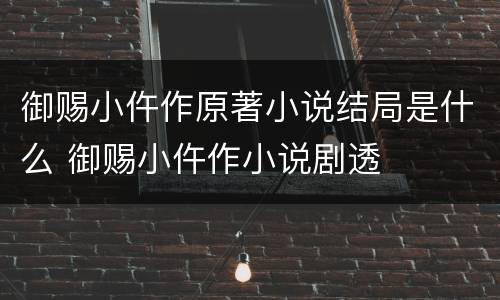 御赐小仵作原著小说结局是什么 御赐小仵作小说剧透