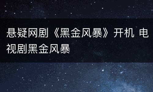悬疑网剧《黑金风暴》开机 电视剧黑金风暴