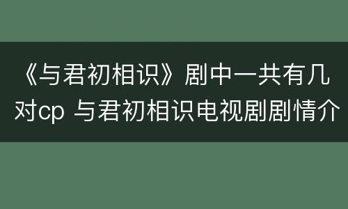 《与君初相识》剧中一共有几对cp 与君初相识电视剧剧情介绍
