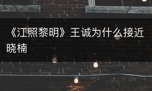 《江照黎明》王诚为什么接近晓楠