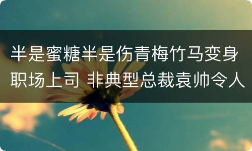 半是蜜糖半是伤青梅竹马变身职场上司 非典型总裁袁帅令人心动