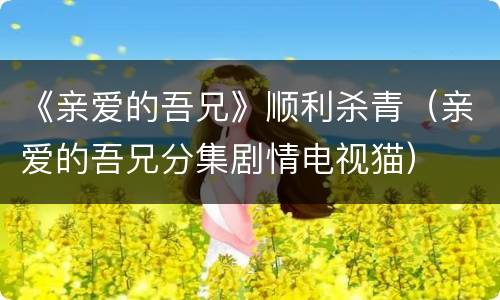 《亲爱的吾兄》顺利杀青（亲爱的吾兄分集剧情电视猫）