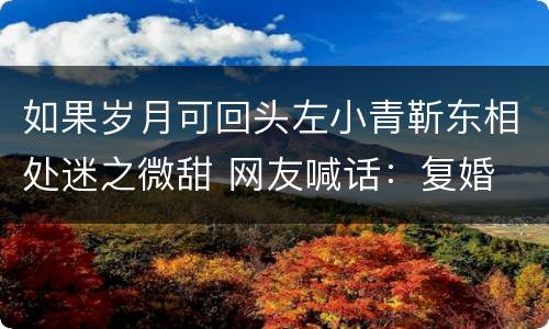 如果岁月可回头左小青靳东相处迷之微甜 网友喊话：复婚