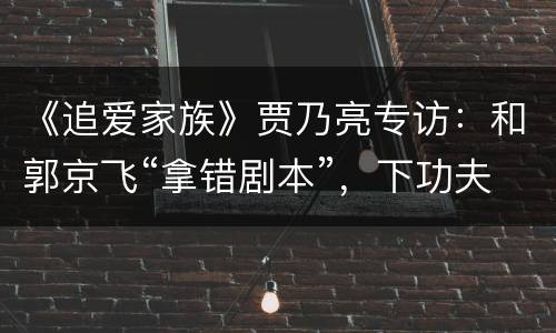 《追爱家族》贾乃亮专访：和郭京飞“拿错剧本”，下功夫把握好角色