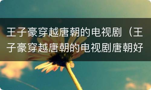 王子豪穿越唐朝的电视剧（王子豪穿越唐朝的电视剧唐朝好男人）