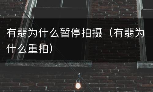有翡为什么暂停拍摄（有翡为什么重拍）