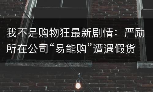 我不是购物狂最新剧情：严励所在公司“易能购”遭遇假货危机