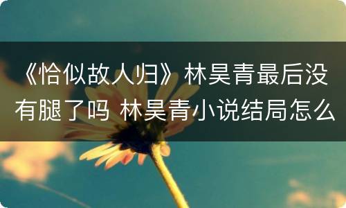 《恰似故人归》林昊青最后没有腿了吗 林昊青小说结局怎么样