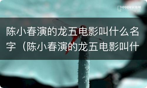 陈小春演的龙五电影叫什么名字（陈小春演的龙五电影叫什么名字来着）