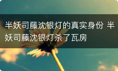 半妖司藤沈银灯的真实身份 半妖司藤沈银灯杀了瓦房