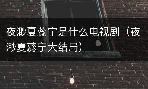 夜渺夏蕊宁是什么电视剧（夜渺夏蕊宁大结局）
