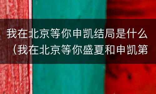 我在北京等你申凯结局是什么（我在北京等你盛夏和申凯第几集分手）