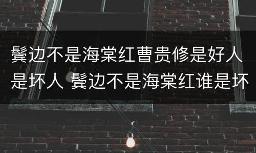 鬓边不是海棠红曹贵修是好人是坏人 鬓边不是海棠红谁是坏人