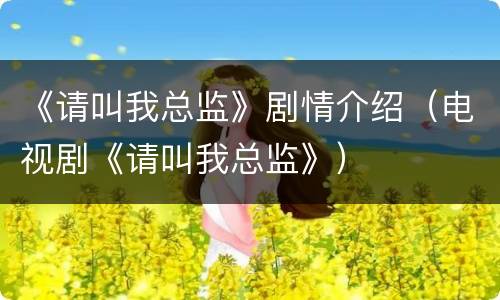 《请叫我总监》剧情介绍（电视剧《请叫我总监》）