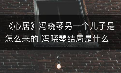 《心居》冯晓琴另一个儿子是怎么来的 冯晓琴结局是什么