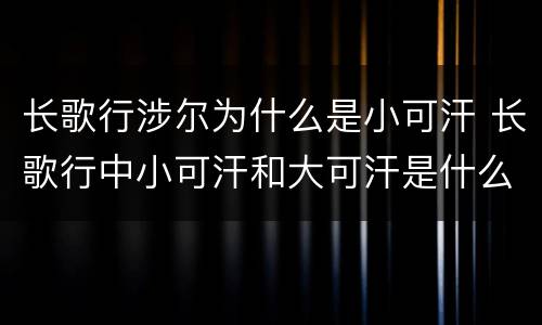 长歌行涉尔为什么是小可汗 长歌行中小可汗和大可汗是什么关系