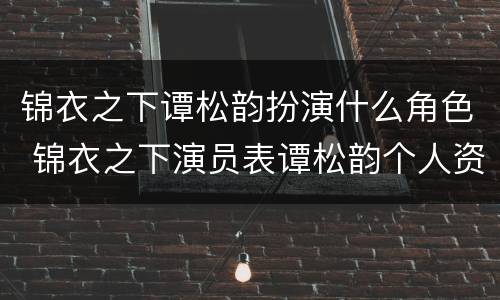 锦衣之下谭松韵扮演什么角色 锦衣之下演员表谭松韵个人资料