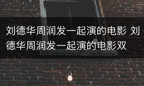 刘德华周润发一起演的电影 刘德华周润发一起演的电影双