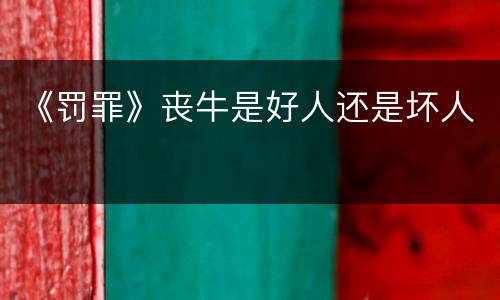 《罚罪》丧牛是好人还是坏人