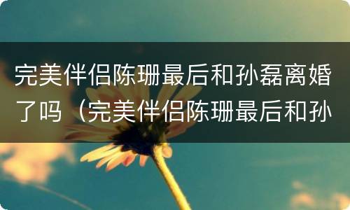完美伴侣陈珊最后和孙磊离婚了吗（完美伴侣陈珊最后和孙磊离婚了吗视频）