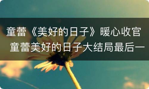 童蕾《美好的日子》暖心收官 童蕾美好的日子大结局最后一集