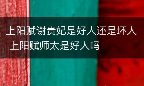 上阳赋谢贵妃是好人还是坏人 上阳赋师太是好人吗