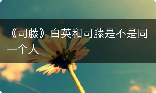 《司藤》白英和司藤是不是同一个人