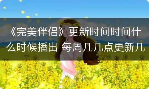 《完美伴侣》更新时间时间什么时候播出 每周几几点更新几集