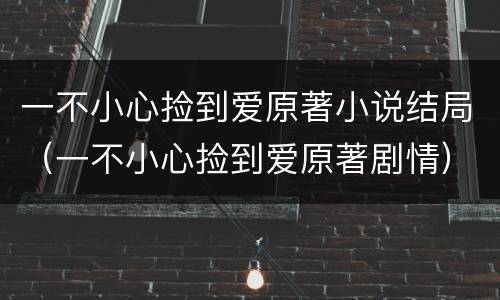 一不小心捡到爱原著小说结局（一不小心捡到爱原著剧情）