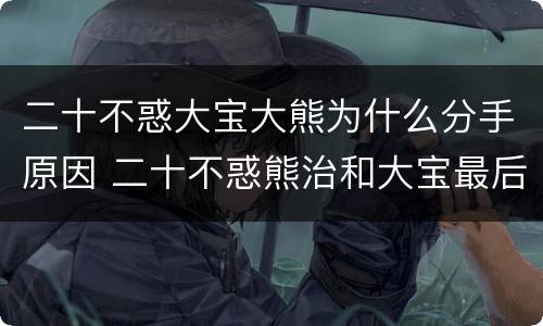 二十不惑大宝大熊为什么分手原因 二十不惑熊治和大宝最后在一起了吗