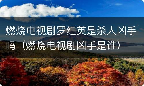 燃烧电视剧罗红英是杀人凶手吗（燃烧电视剧凶手是谁）