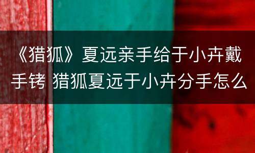 《猎狐》夏远亲手给于小卉戴手铐 猎狐夏远于小卉分手怎么回事于小卉结局