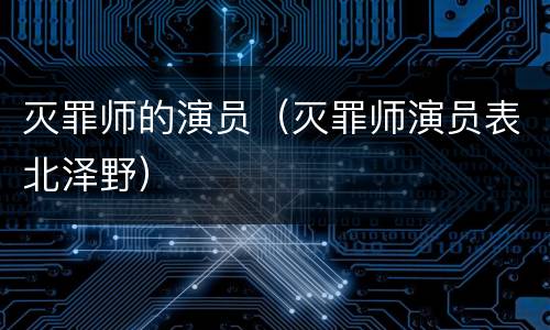 灭罪师的演员（灭罪师演员表北泽野）