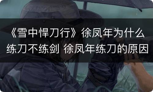 《雪中悍刀行》徐凤年为什么练刀不练剑 徐凤年练刀的原因是什么
