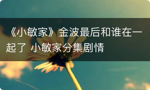 《小敏家》金波最后和谁在一起了 小敏家分集剧情