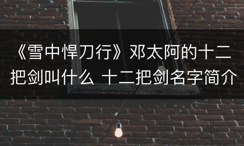 《雪中悍刀行》邓太阿的十二把剑叫什么 十二把剑名字简介