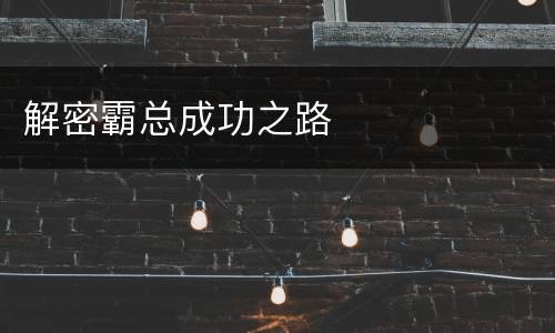 解密霸总成功之路