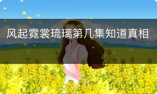 风起霓裳琉璃第几集知道真相