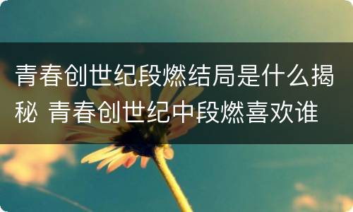 青春创世纪段燃结局是什么揭秘 青春创世纪中段燃喜欢谁