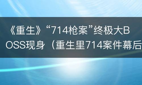 《重生》“714枪案”终极大BOSS现身（重生里714案件幕后策划者是谁）