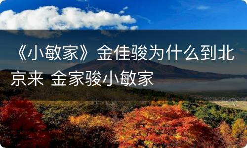 《小敏家》金佳骏为什么到北京来 金家骏小敏家