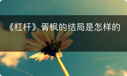 《杠杆》胥枫的结局是怎样的