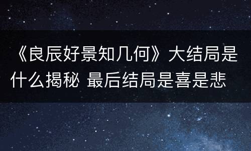 《良辰好景知几何》大结局是什么揭秘 最后结局是喜是悲